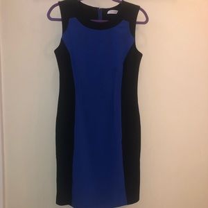 Calvin Klein Black and Blue Professional Dress